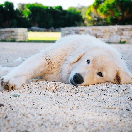 Masseria Pilano Crispiano Ngoại thất bức ảnh